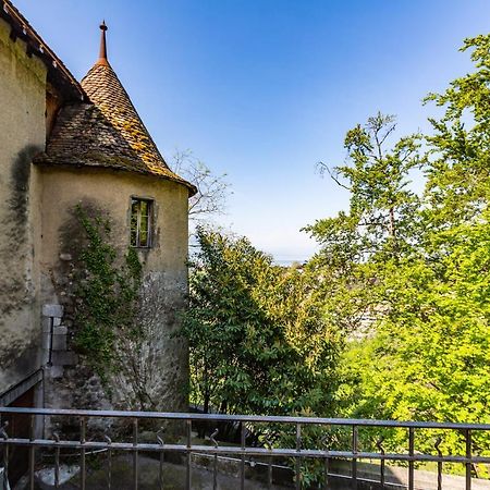 A Castle Spirit Apartment In Chateau Du Chatelard Кларанс Экстерьер фото